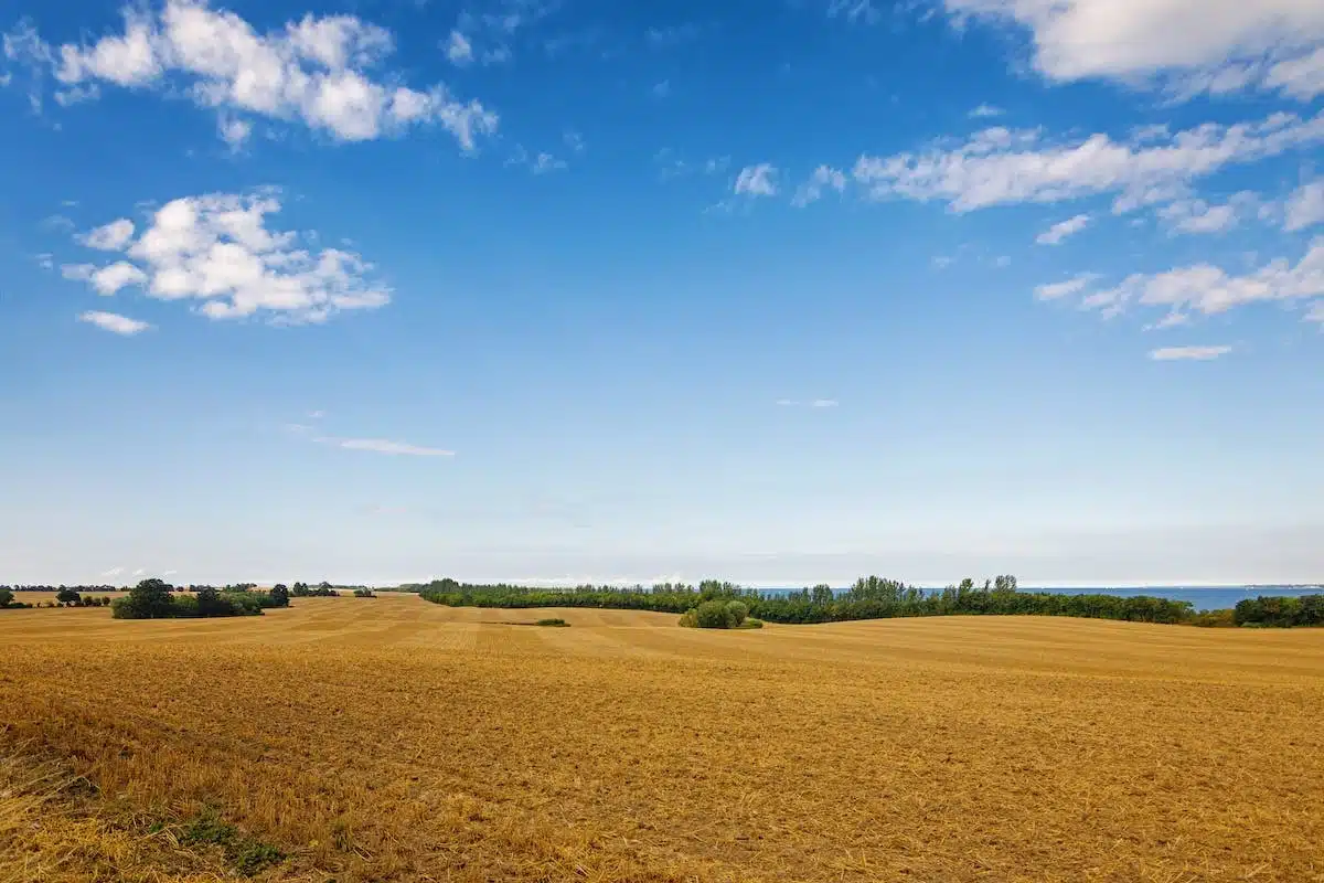 terrain agricole