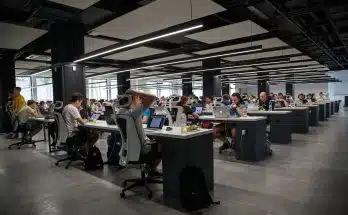 people doing office works